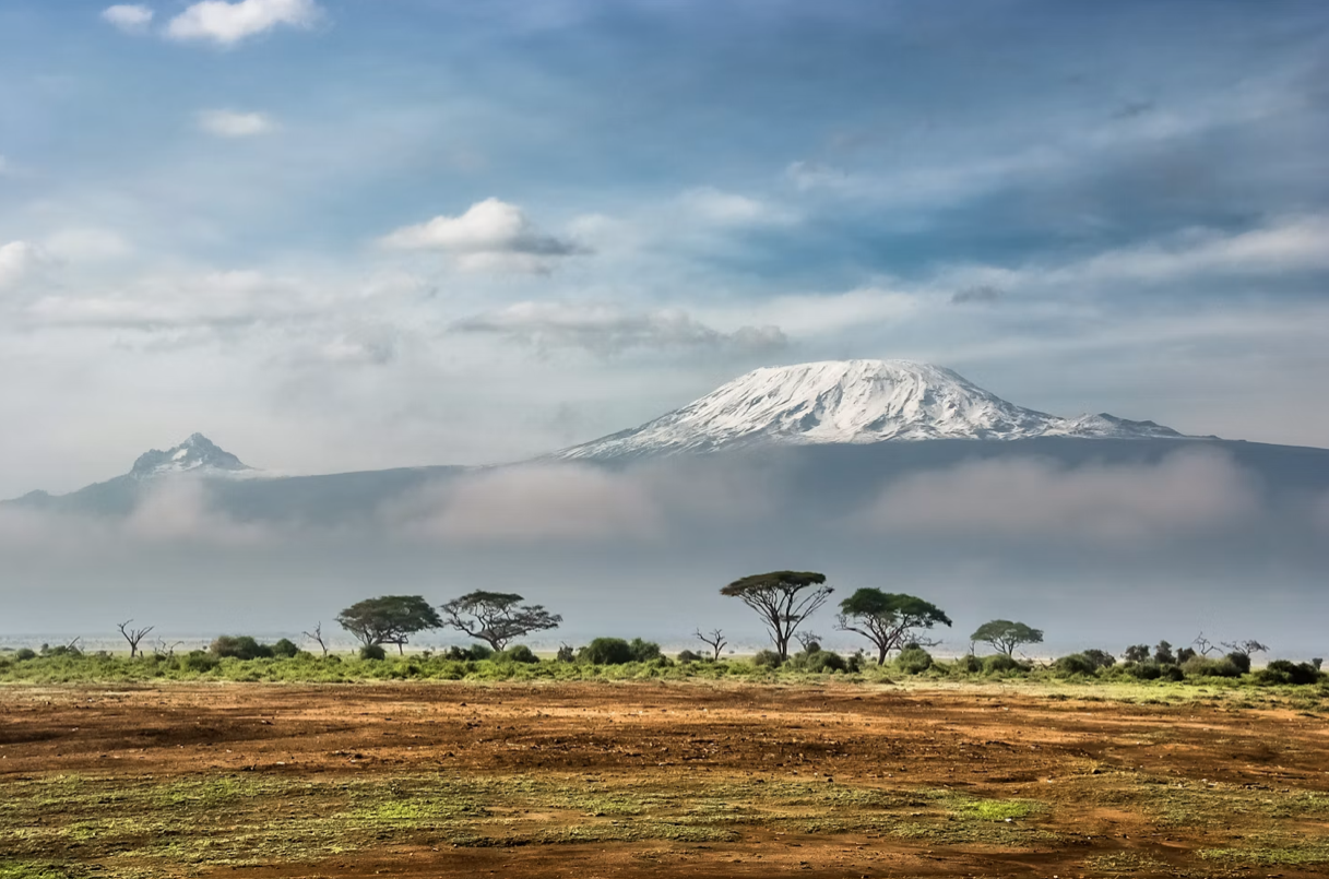 A wide savanna with acacia trees and the snow-capped peak of Mount Kilimanjaro